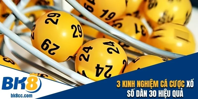 3 kinh nghiệm cá cược dãy 30 con dễ trúng lớn
