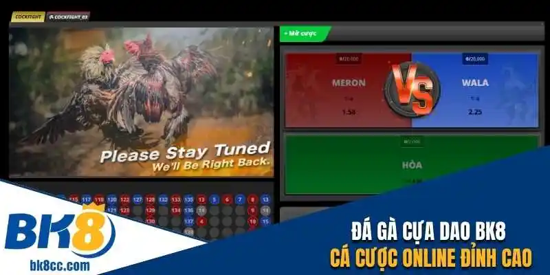 Đá gà cựa dao