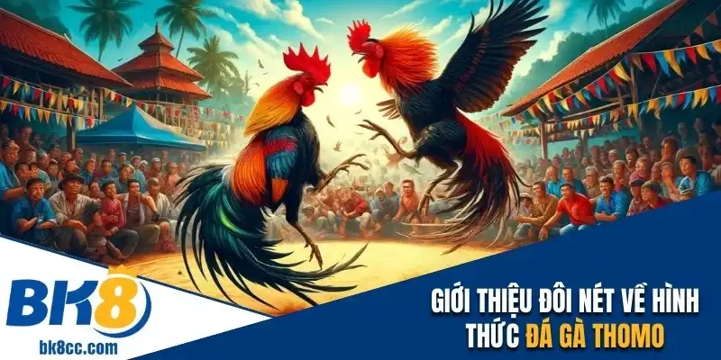 Đôi nét về đá gà Thomo