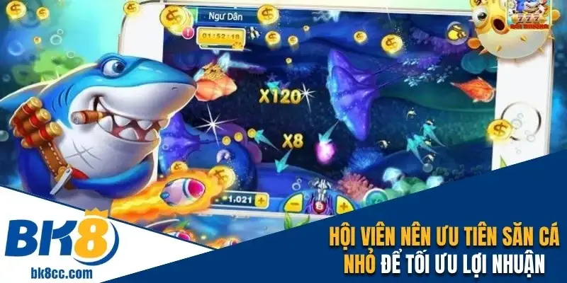 Hội viên nên ưu tiên săn cá nhỏ để tối ưu lợi nhuận