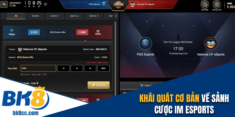 Khái quát cơ bản về sảnh IM Esports