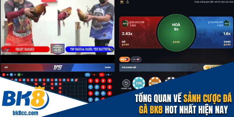 Tổng quan về sảnh cược đá gà BK8 hot nhất hiện nay